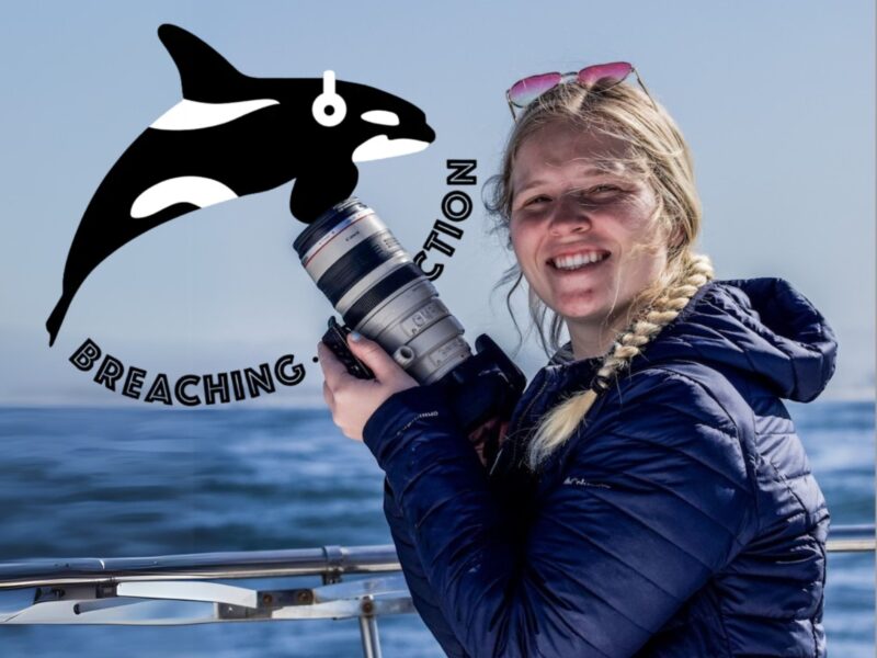 Our Feature on the Breaching Extinction Podcast