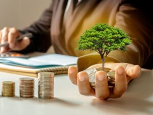 Growing a Business